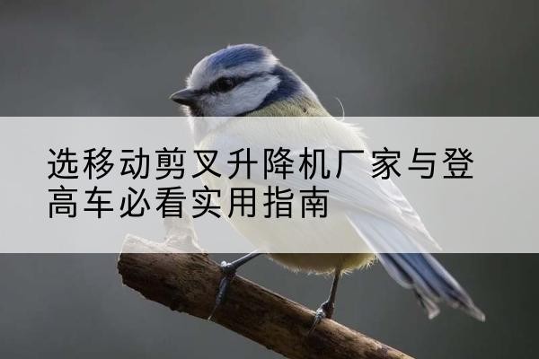 南昌电动升降机厂家-选移动剪叉升降机厂家与登高车必看实用指南