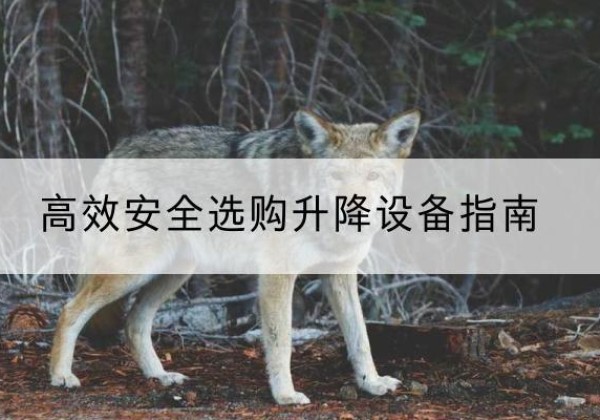 南昌升降货梯厂家推荐-*安全选购升降设备指南